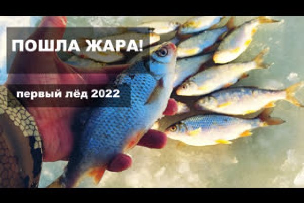 Как найти kraken