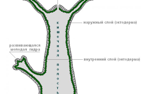 Ссылка на кракен в браузере