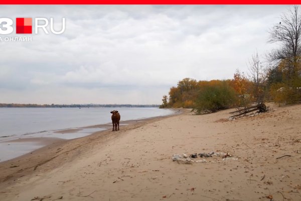 Кракен невозможно зарегистрировать пользователя