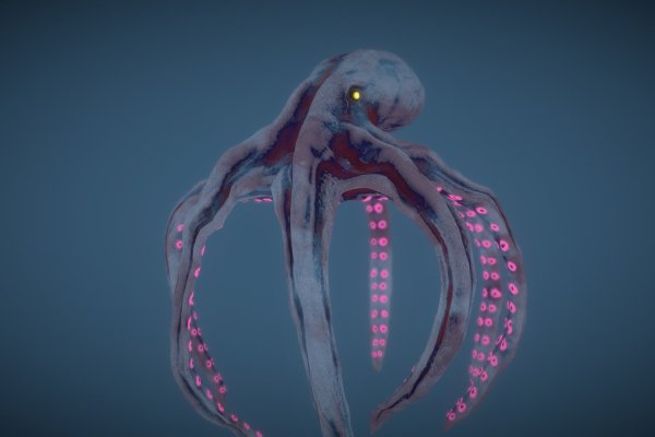 Kraken official