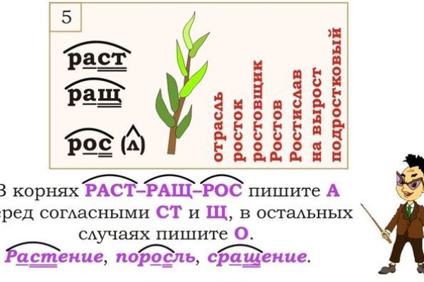 Где найти ссылку на кракен