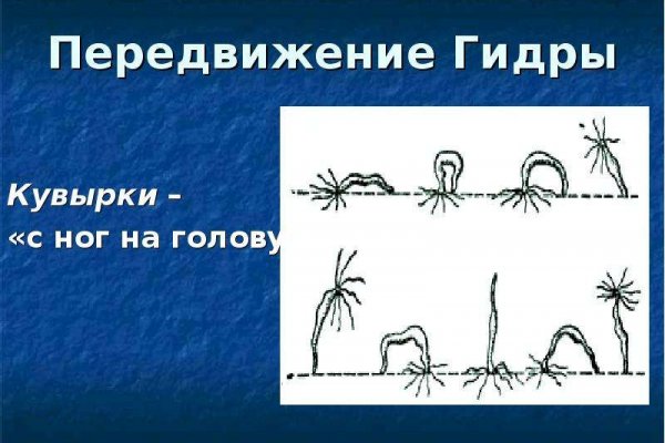 Линк кракена