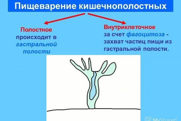 Кракен онион kraken dark link